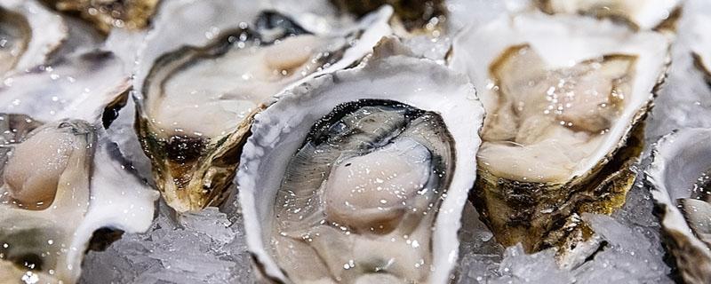 海蛎子蒸多长时间最好吃 海蛎子蒸还是煮