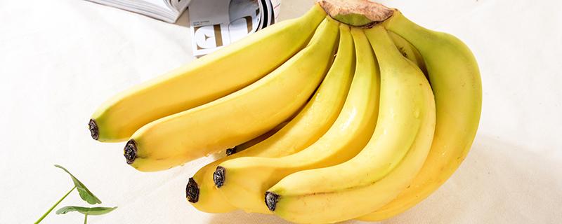 小米蕉是芭蕉吗 小米蕉是凉性还是热性