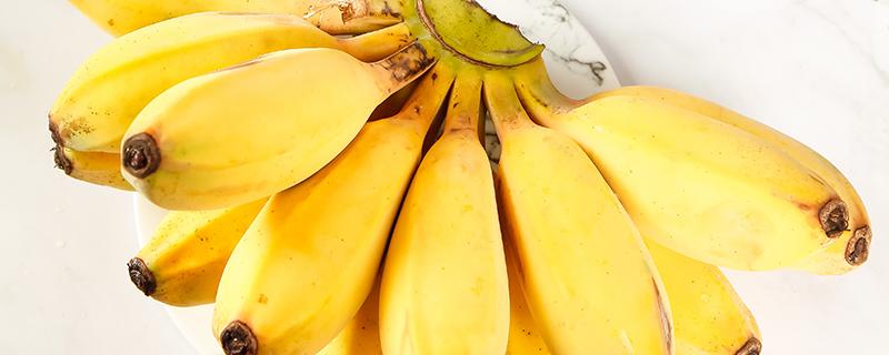 小米蕉里面会有黑色籽怎么回事 小米蕉有籽可以吃吗