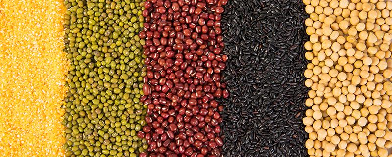 红豆可以打豆浆吗 红豆豆浆不适宜人群