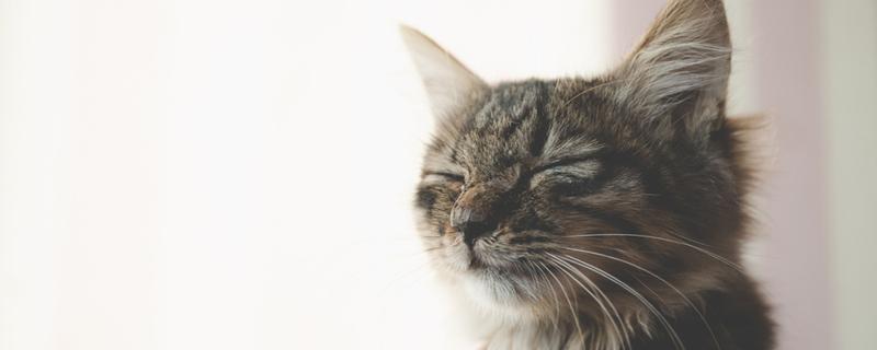 开灯睡觉对皮肤有什么影响 长期开灯睡觉会怎么样