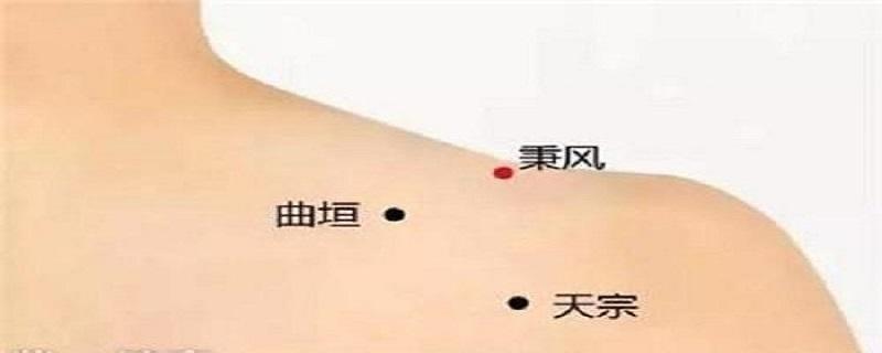 秉风的简单找法 秉风的功效与作用图片