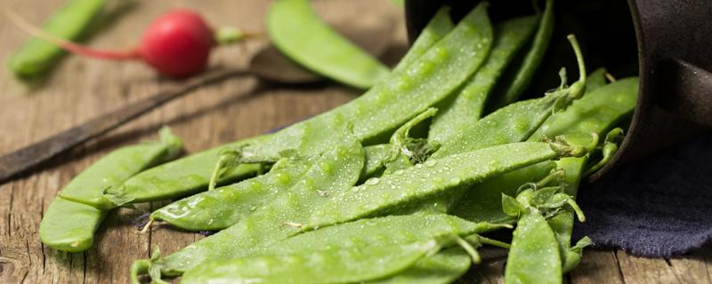 荷兰豆怎么储存时间长 荷兰豆冷冻后还能吃吗