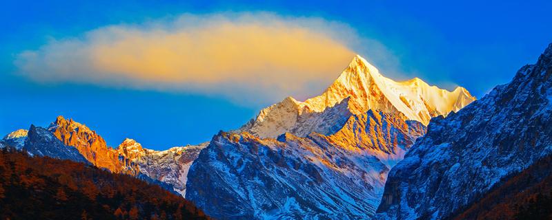 做平板支撑为什么感觉胳膊很累 做平板支撑胳膊累正常吗