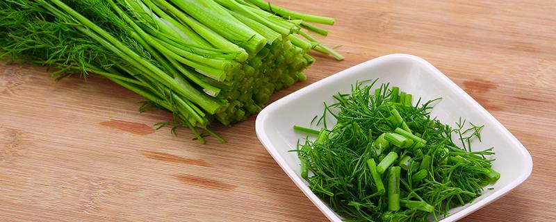 茴香可以炒鸡蛋吃吗 茴香炒鸡蛋的做法