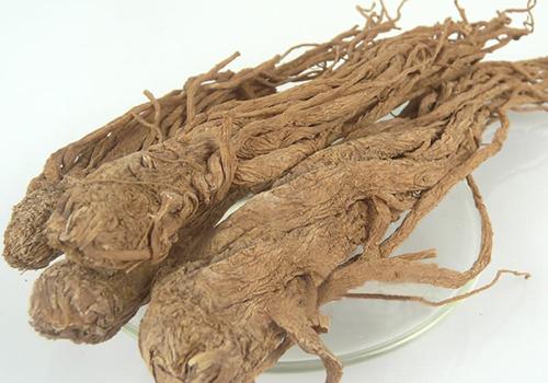 当归黄芪水喝了上火吗 当归黄芪泡水喝的功效