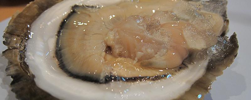 生蚝可以跟汤圆一起吃吗 吃生蚝有什么禁忌