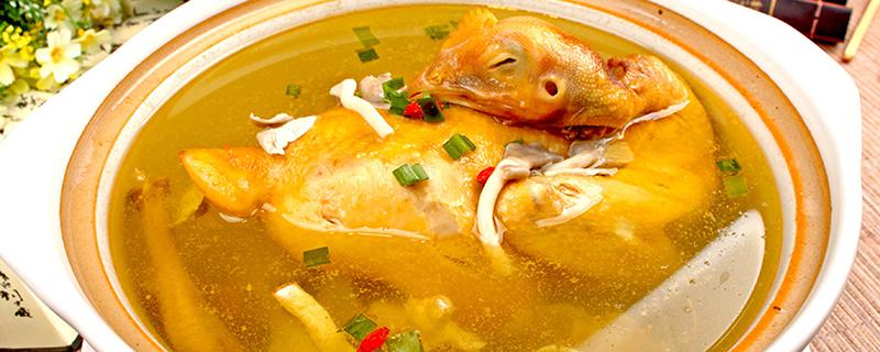 什么菌类炖鸡汤最香 菌类炖鸡汤的做法