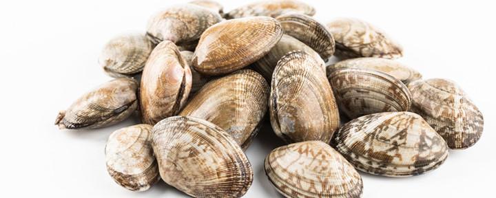 蛤蜊臭了还能吃吗 新鲜的蛤蜊是什么味道的