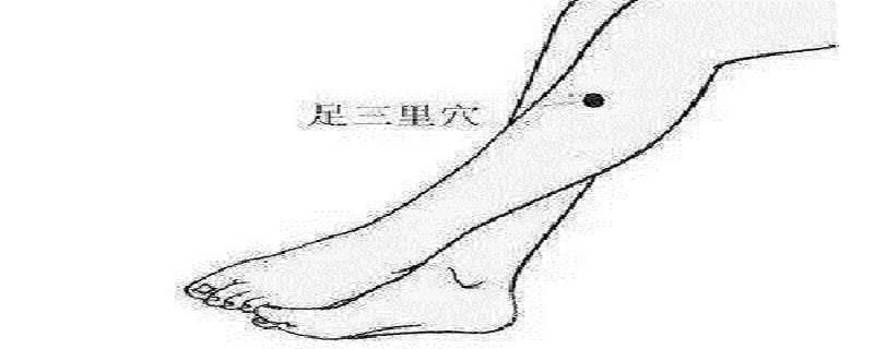 针刺足三里的作用 足三里的针刺方法
