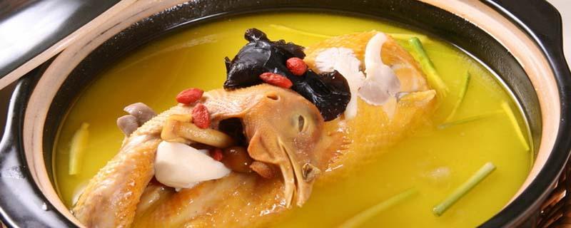 鸡炖什么补气血 炖鸡补气血的注意事项