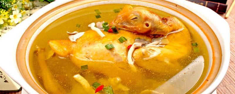 鸡汤冷水下锅还是开水 煲鸡汤到底要不要焯水