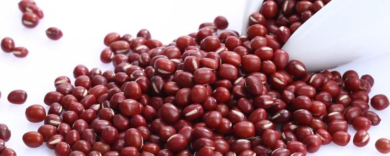 红豆汤能隔夜吗 红豆汤冷藏可以放多久