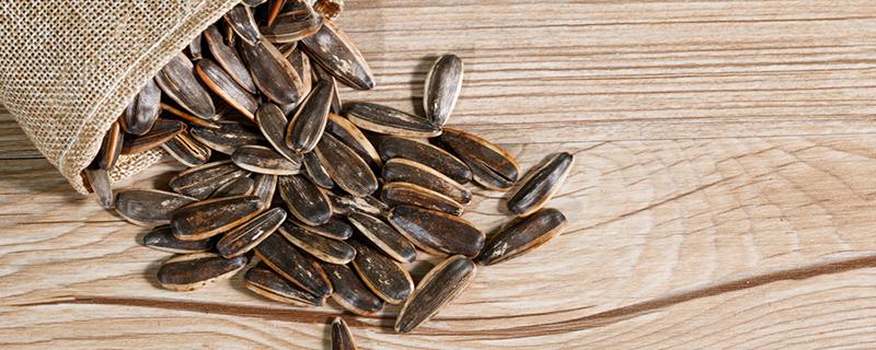 为什么瓜子的热量那么高 100克的瓜子热量是多少