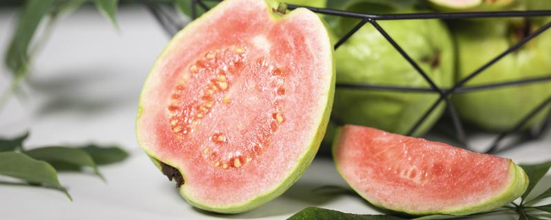 芭乐和番石榴的区别 番石榴和什么味道很像