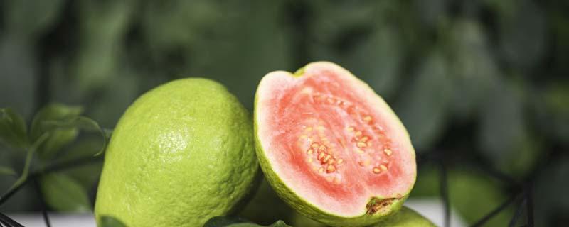 芭乐减肥效果好吗 芭乐怎样吃减脂肪