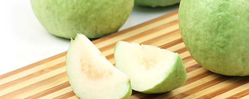 芭乐没熟可以吃吗 芭乐要放软了才能吃吗