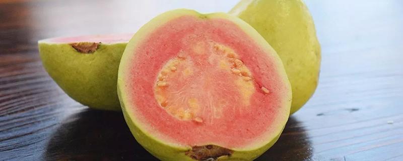 芭乐含糖量高吗 买的芭乐太难吃了怎么办