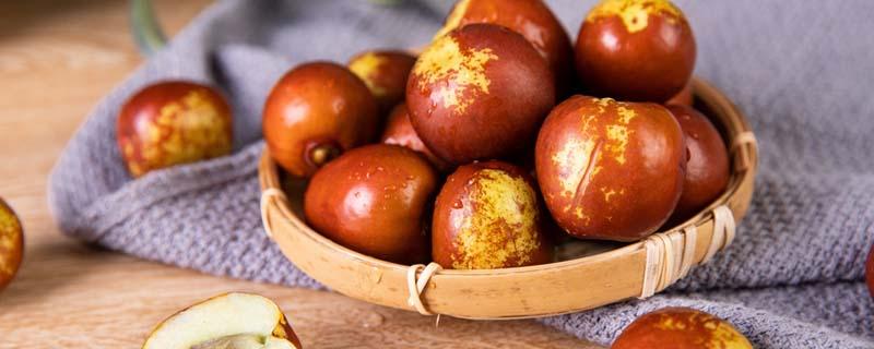 冬枣放冰箱要擦干吗 冬枣不放冰箱可以吗