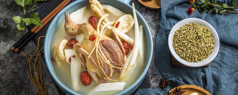 鸽子放什么材料煲汤好 鸽子和什么一起炖才最补肾