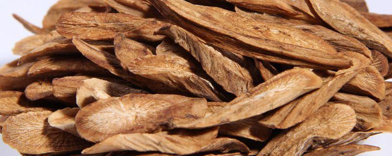 牛蒡根泡水喝要炒吗 生牛蒡与炒熟牛蒡的区别