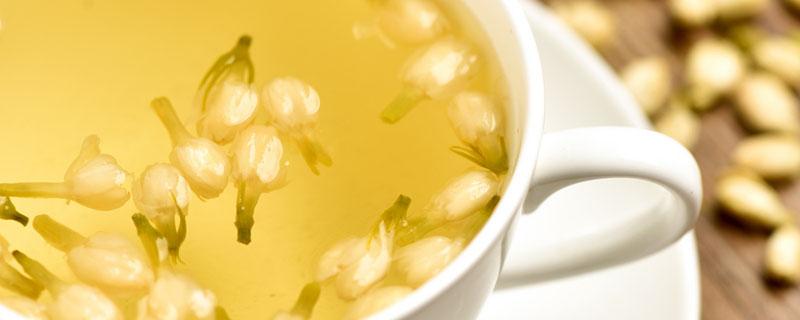 茉莉茶能天天喝吗 喝茉莉茶有什么功效