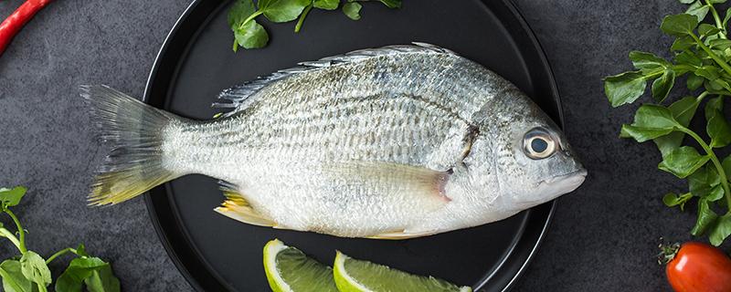 龙利鱼可以做鱼丸吗 龙利鱼怎么做鱼丸