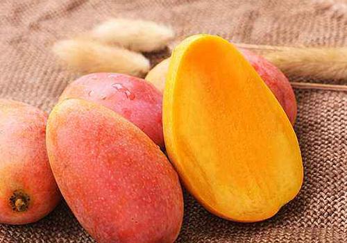 贵妃芒不熟能吃吗 贵妃芒怎么样才是熟了