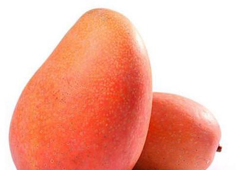 海南贵妃芒怎样算成熟