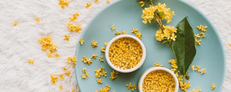 桂花籽泡酒的功效 桂花籽泡酒的食用方法