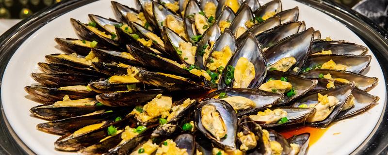 海虹是什么东西 海虹是发物吗