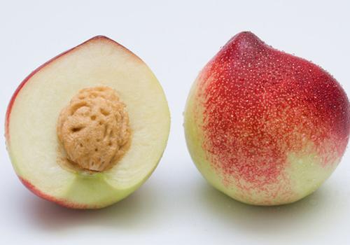 油桃什么季节成熟 油桃什么时候吃