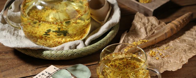 桂花茶不适合什么人喝 桂花茶适合什么人喝