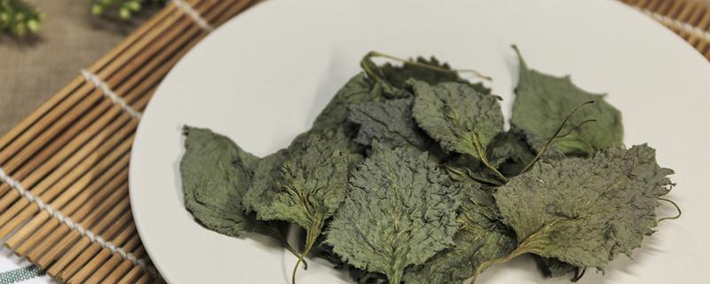 紫苏叶的功效与作用 紫苏叶能生吃吗