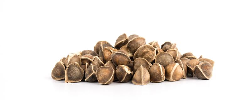 辣木籽哪些人不能吃 辣木籽伤肝还是护肝