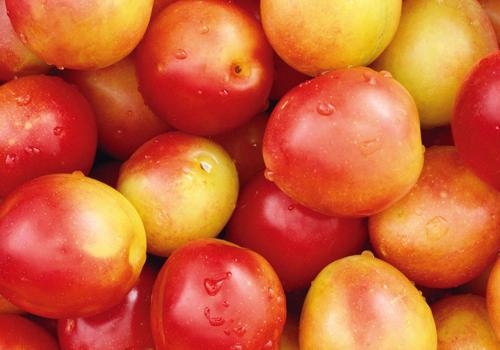 油桃可以煮水吗 你没吃过煮油桃吧！