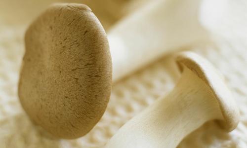 盆腔积液能喝蜂蜜水吗 盆腔积液怎么喝蜂蜜好