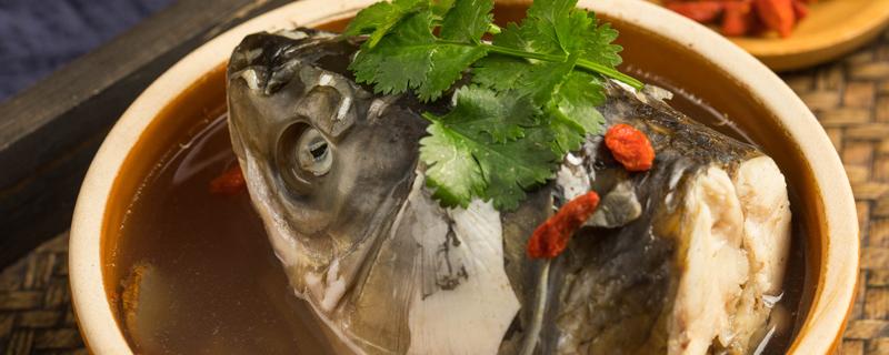 烧鱼头汤的话什么鱼头最好 鱼头用热水煮还是冷水煮