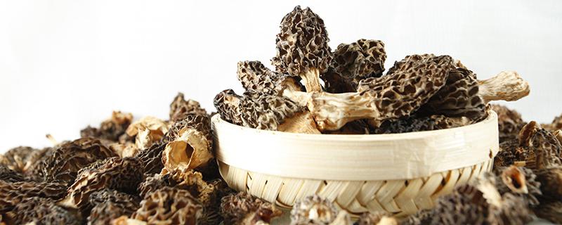 羊肚菌老少都可以吃吗 小孩吃羊肚菌会早熟吗