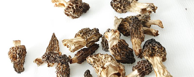 羊肚菌吃了上火吗 羊肚菌每天吃几个最好