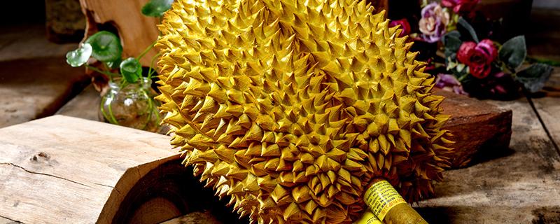榴莲核能吃吗 榴莲皮能吃吗