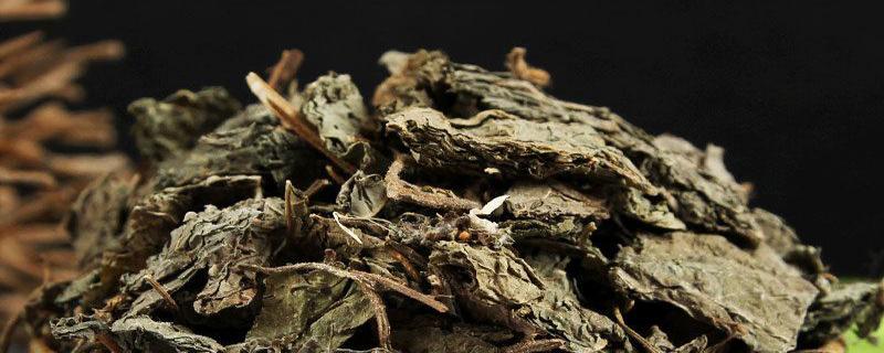 干紫苏叶的功效与作用 干紫苏叶和新鲜紫苏叶哪个好