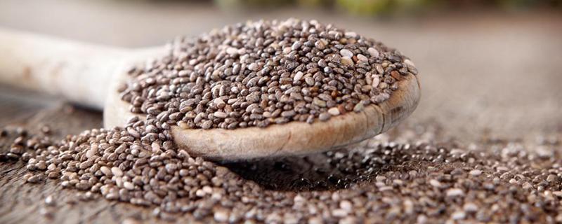 早上空腹吃奇亚籽有什么效果 吃奇亚籽需要嚼碎吗