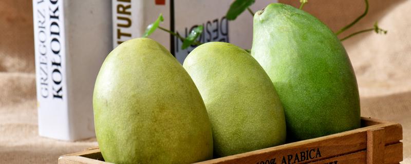 切开的青芒放着能熟吗 为什么青芒切开是白的