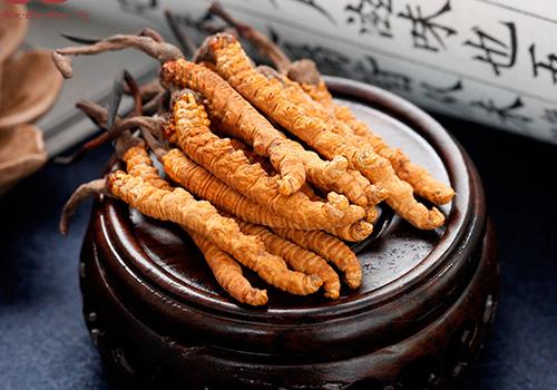 冬虫夏草癌症能吃吗 冬虫夏草癌症怎么吃