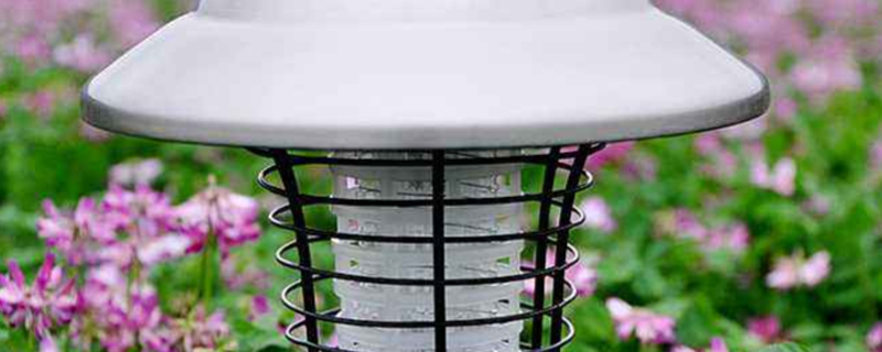 灭蚊灯可以杀死隐翅虫吗 怎么消灭家里的隐翅虫