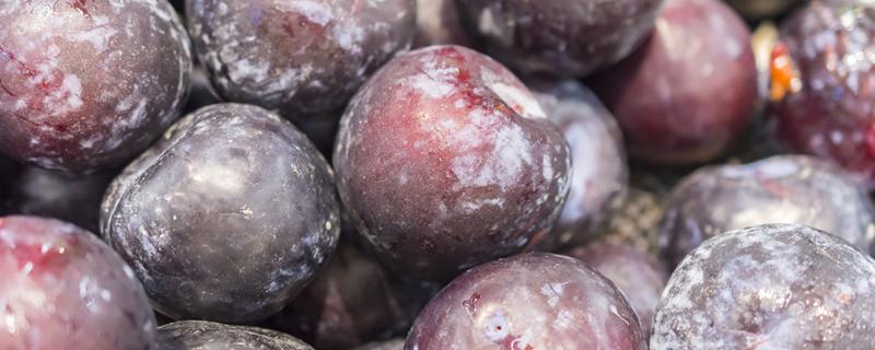 黑布林酸的要放多长时间才能变甜 黑布林怎么催熟变甜