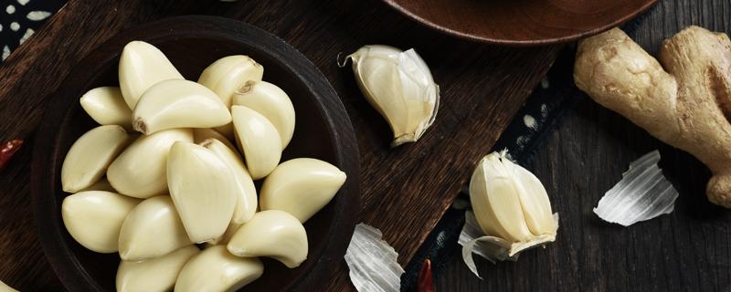 蚊子咬了抹蒜管用吗 蚊子咬了用牙膏管用吗