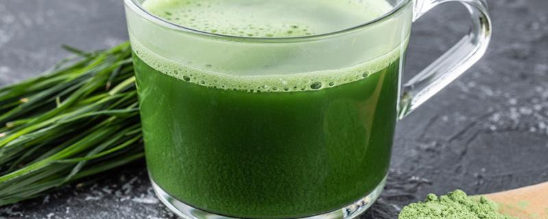 大麦若叶青汁的危害 大麦若叶青汁减肥管用吗