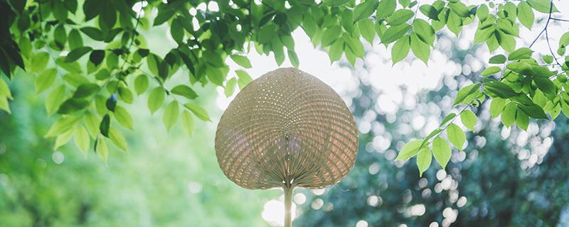 夏天房间闷热怎么降温 夏天不用空调怎么降温